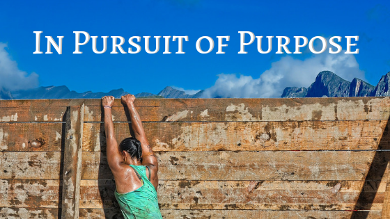 In Pursuit of Purpose