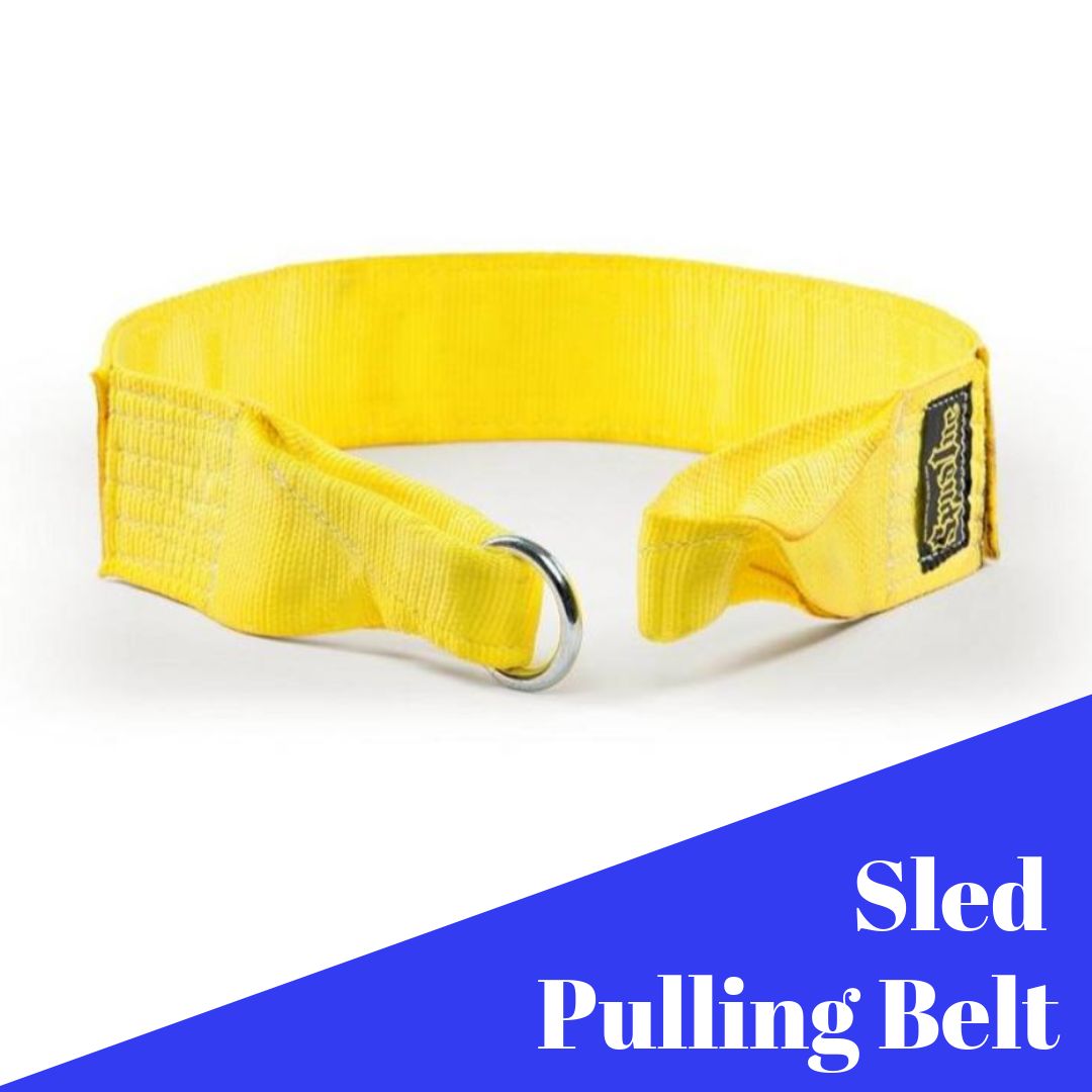Sled Pulling Belt