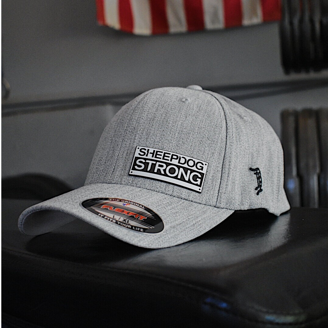 Flex Fit / Forged Cap